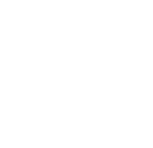 Boxe Guinée
